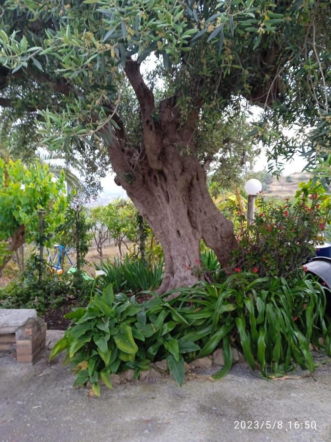 فيلا Casa Da Daniela تاورمينا المظهر الخارجي الصورة